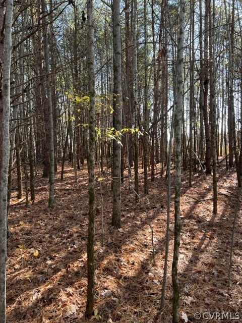 0 Evans Road Powhatan, VA 23139 - Photo 7 of 11 Gallery Image 7