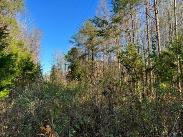 0 Evans Road Powhatan, VA 23139 - Photo 10 of 11 Gallery Image 10