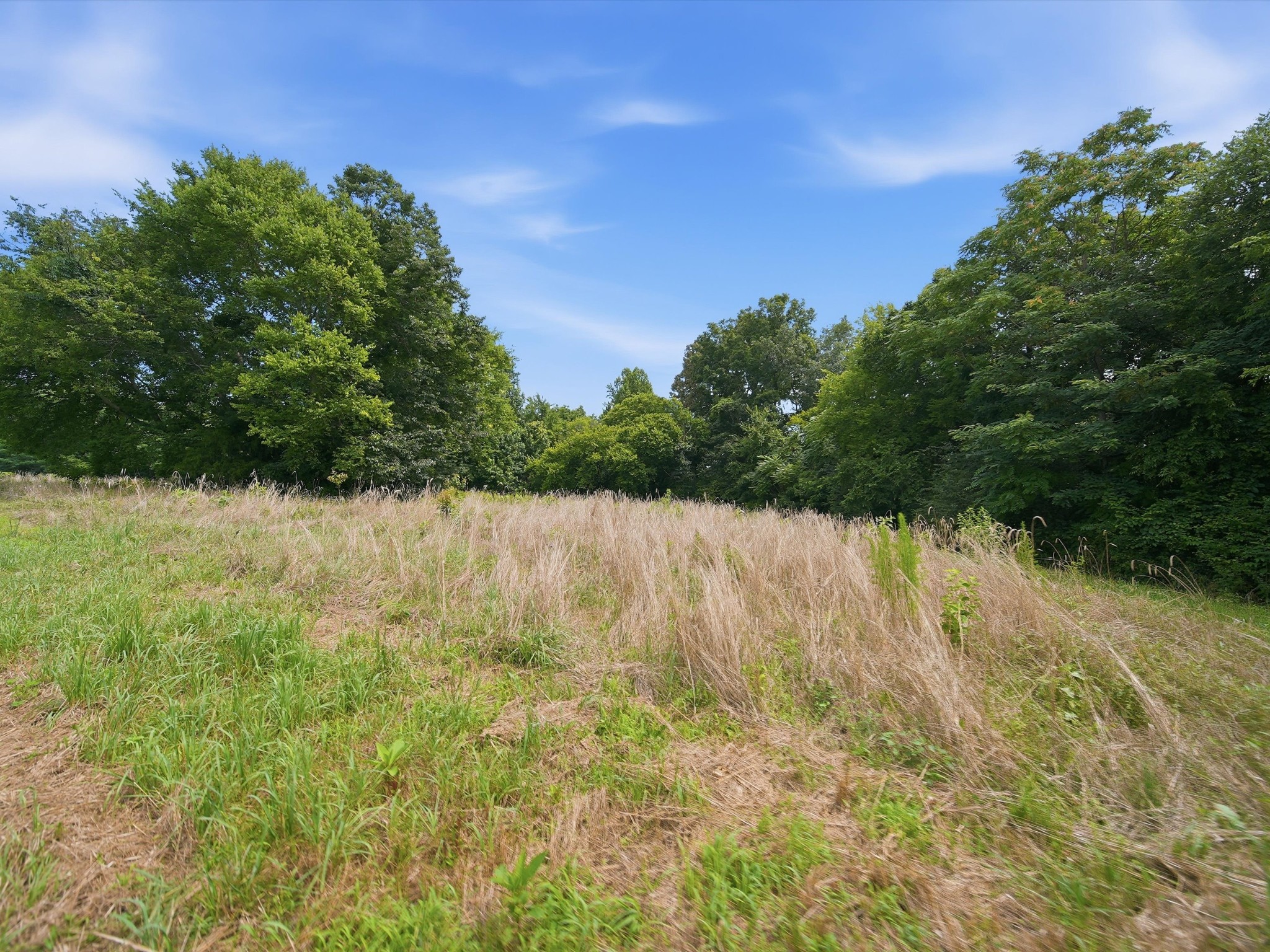 168 Sherfield Road Fayetteville, TN 37334 - Photo 52 of 63