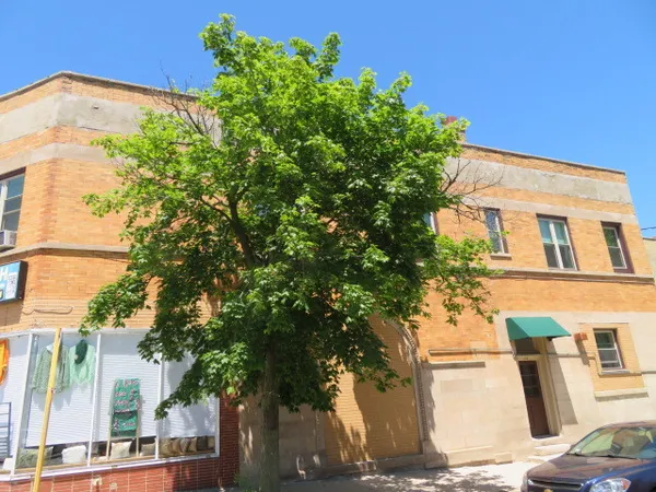 $1,700 | 1552 West Highland Avenue, Unit 2E, Chicago, IL 60660