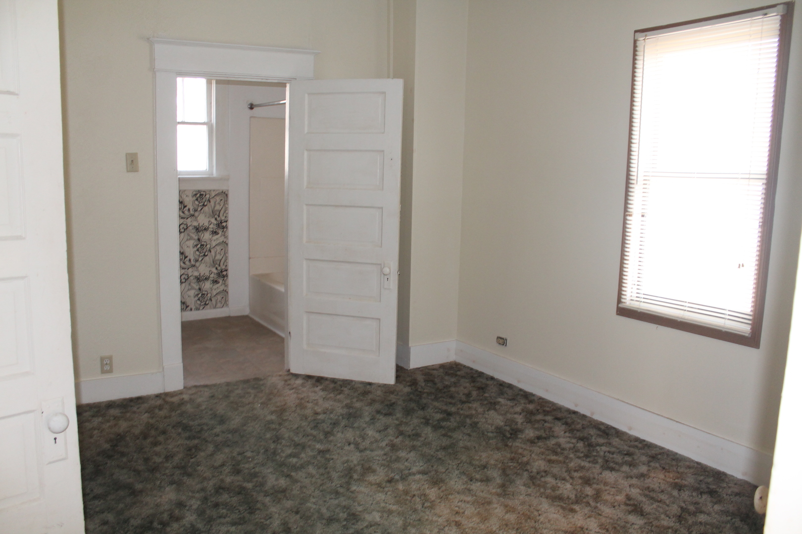 610 West Cherry Street, Unit 2 Carbondale, IL 62901 - Photo 3 of 21