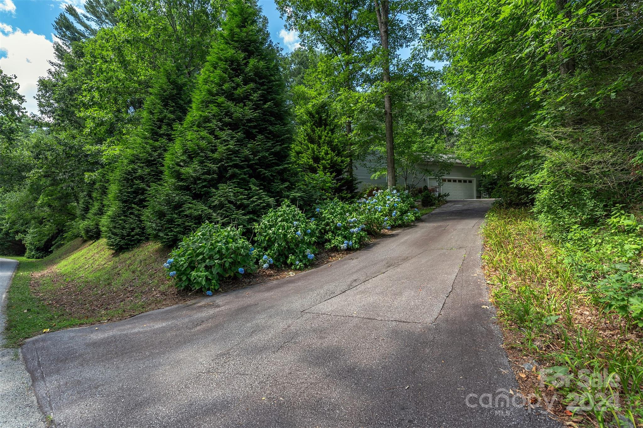 488 Anders Road Zirconia, NC 28790 - Photo 44 of 48 a view of a garden with plants and a trees