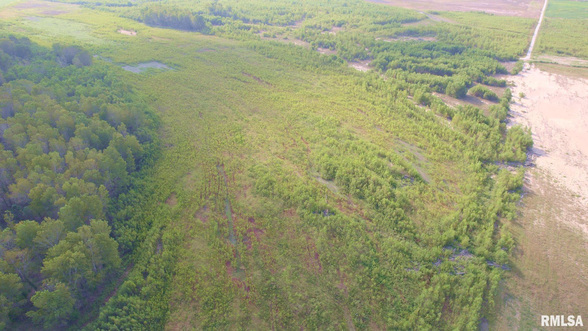 0 Watson Road Miller City, IL 62962 - Photo 13 of 15 Gallery Image 13