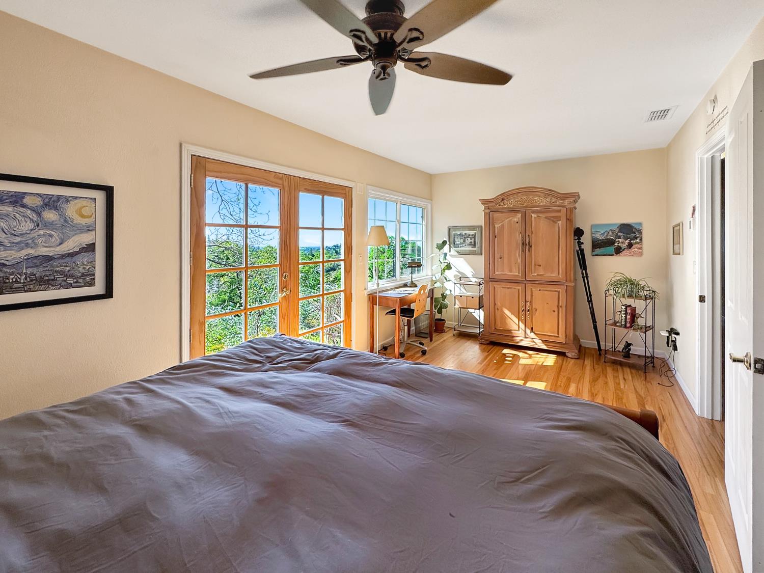 10100 Indian Hill Road Newcastle, CA 95658 - Photo 16 of 41 a bed room with a bed and a chandelier