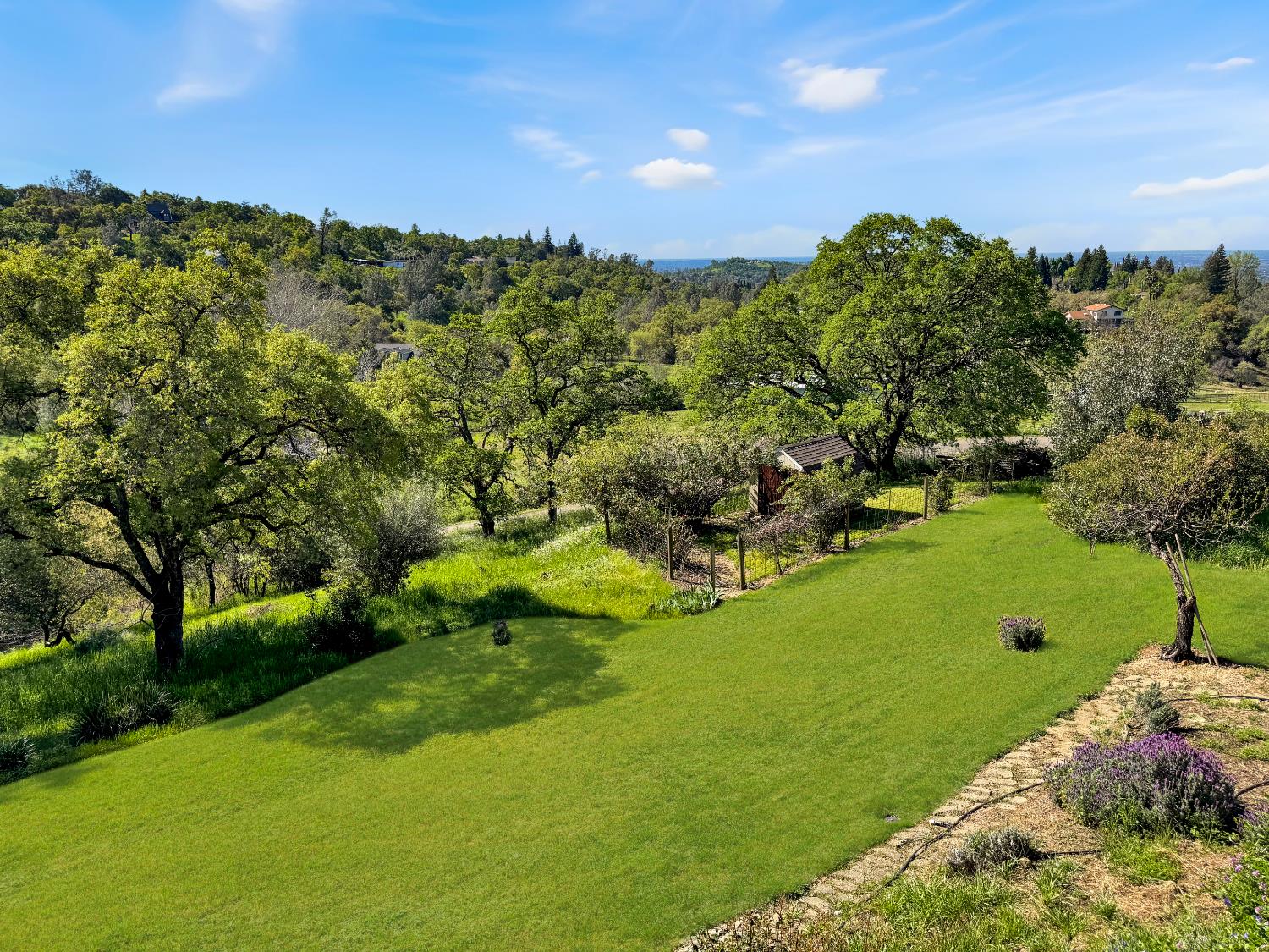 10100 Indian Hill Road Newcastle, CA 95658 - Photo 18 of 41 a view of a garden with an trees