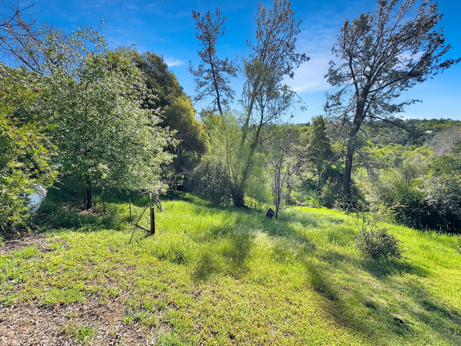 10100 Indian Hill Road Newcastle, CA 95658 - Photo 33 of 41 a view of swimming pool with a yard