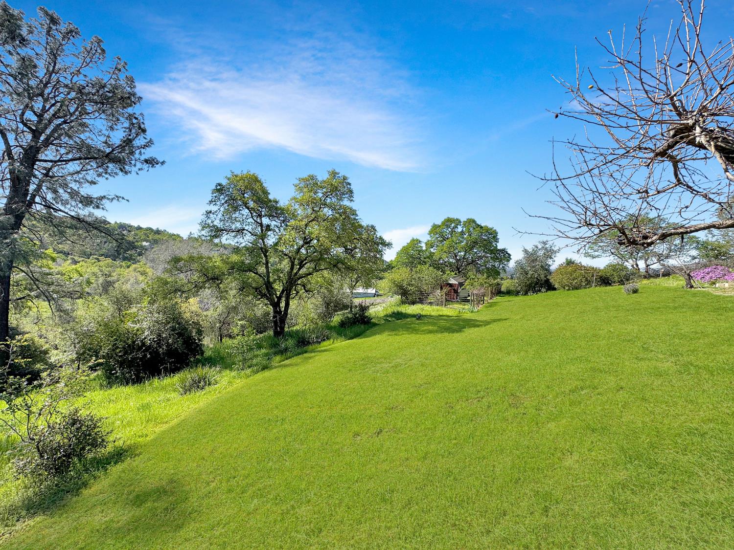 10100 Indian Hill Road Newcastle, CA 95658 - Photo 34 of 41 a view of an outdoor space and yard