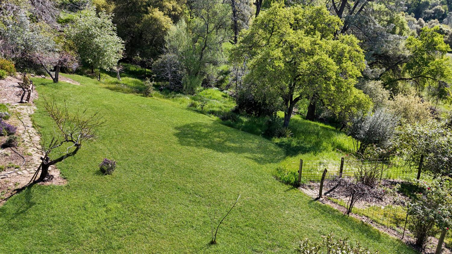 10100 Indian Hill Road Newcastle, CA 95658 - Photo 38 of 41 a view of a garden with a house