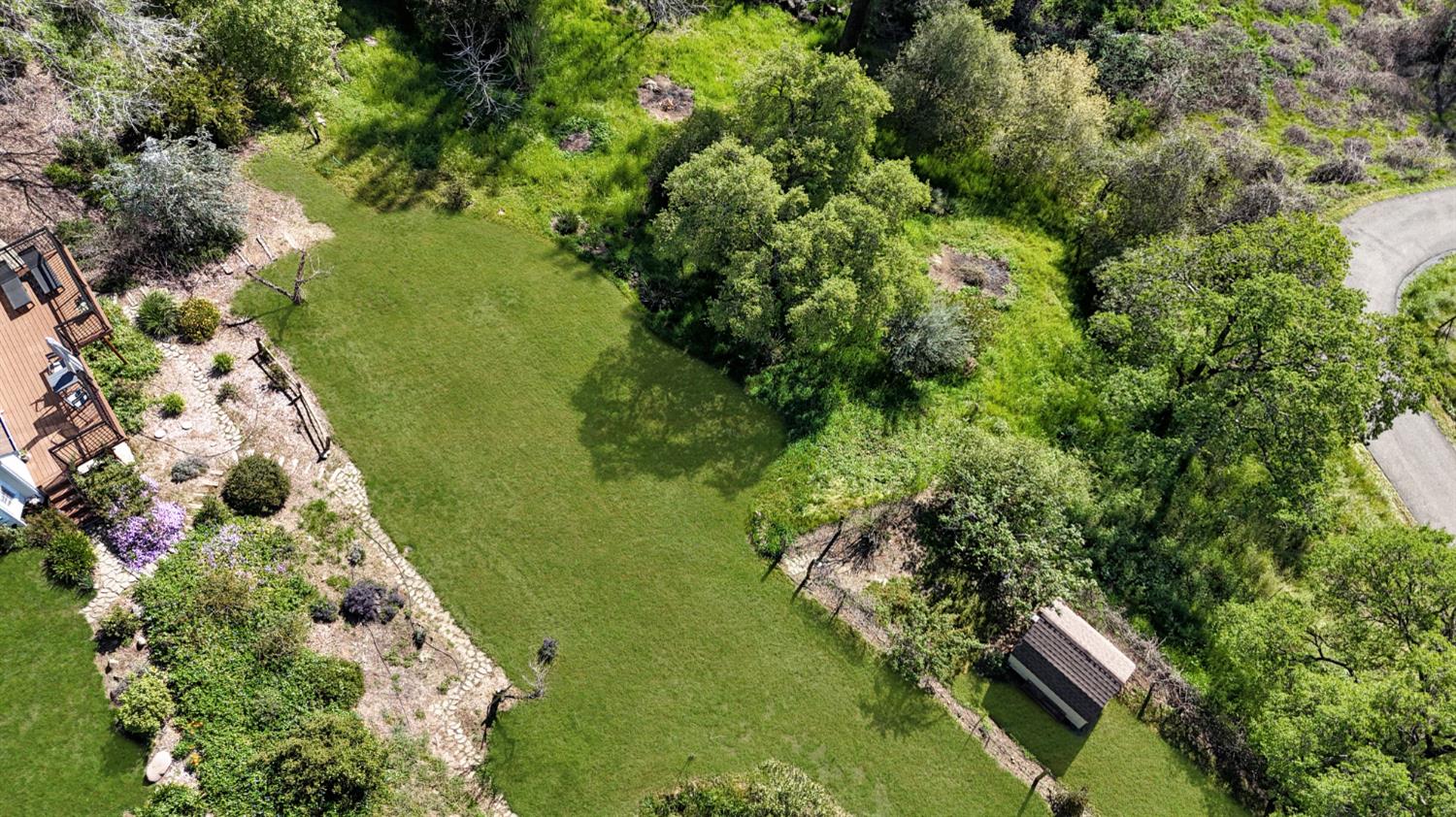 10100 Indian Hill Road Newcastle, CA 95658 - Photo 39 of 41 a view of a garden