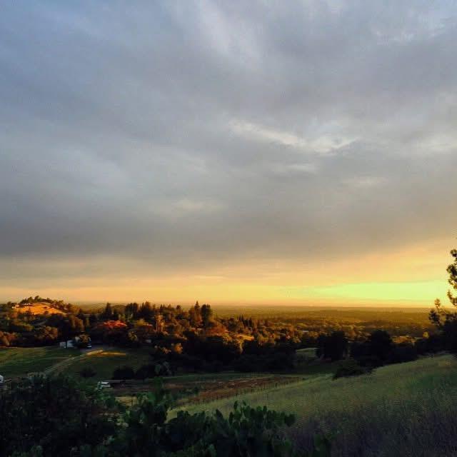 10100 Indian Hill Road Newcastle, CA 95658 - Photo 40 of 41 a view of sunset and yard
