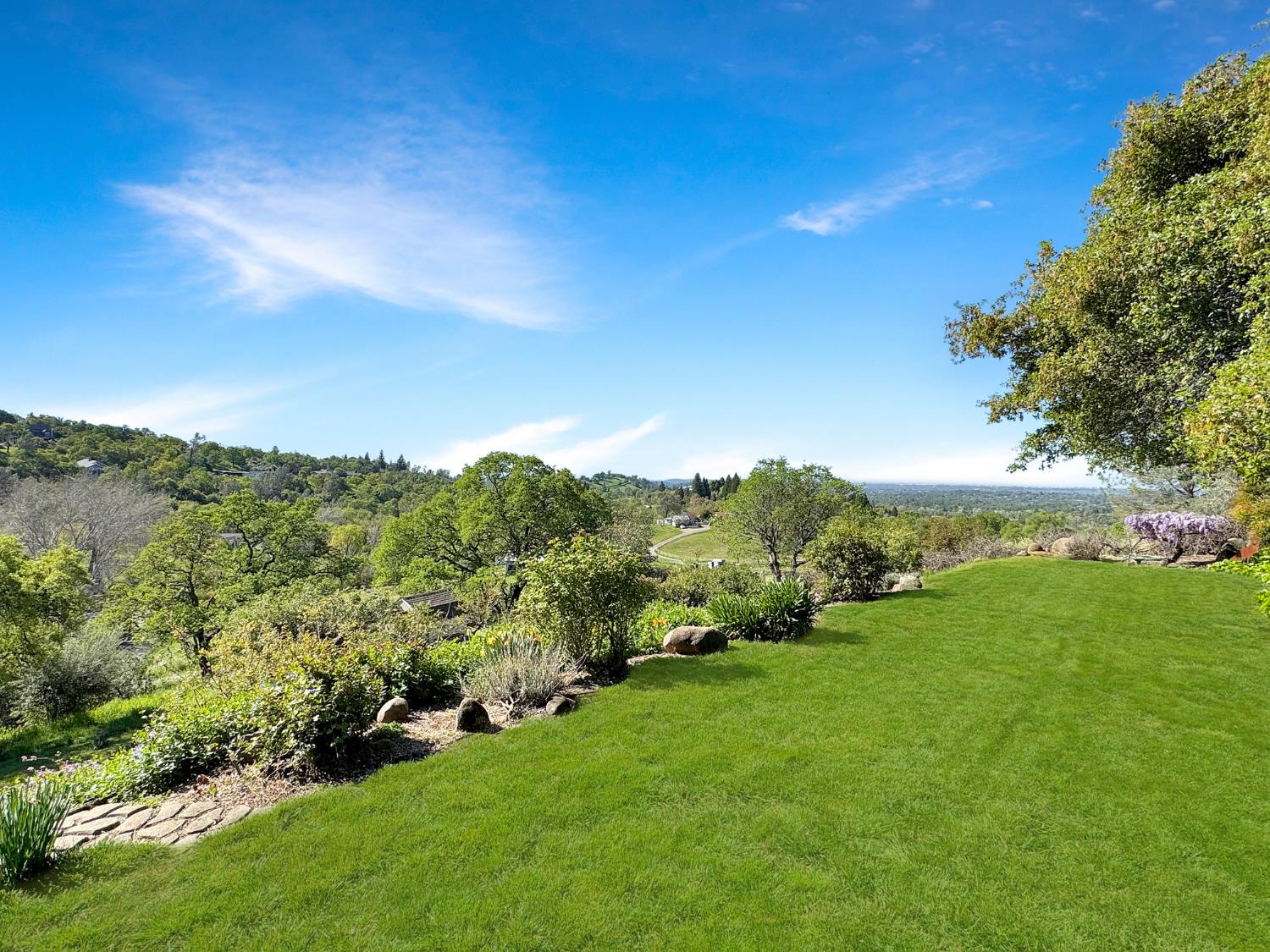 10100 Indian Hill Road Newcastle, CA 95658 - Photo 10 of 41 a view of a big yard with a large tree