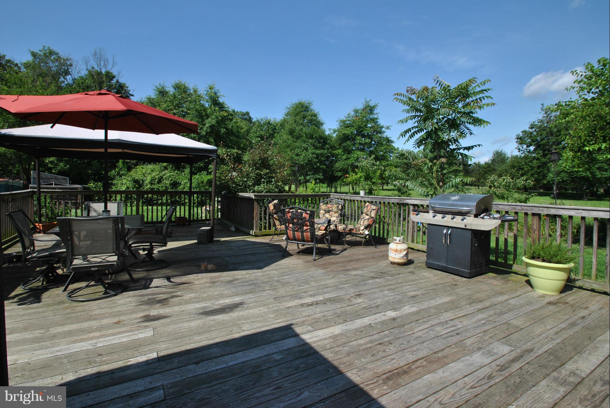 11204 Mitchell Road Rapidan, VA 22733 - Photo 11 of 12 Huge deck!