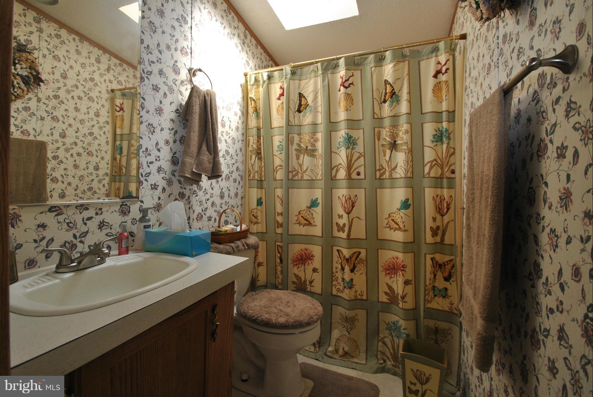 11204 Mitchell Road Rapidan, VA 22733 - Photo 7 of 12 Bath