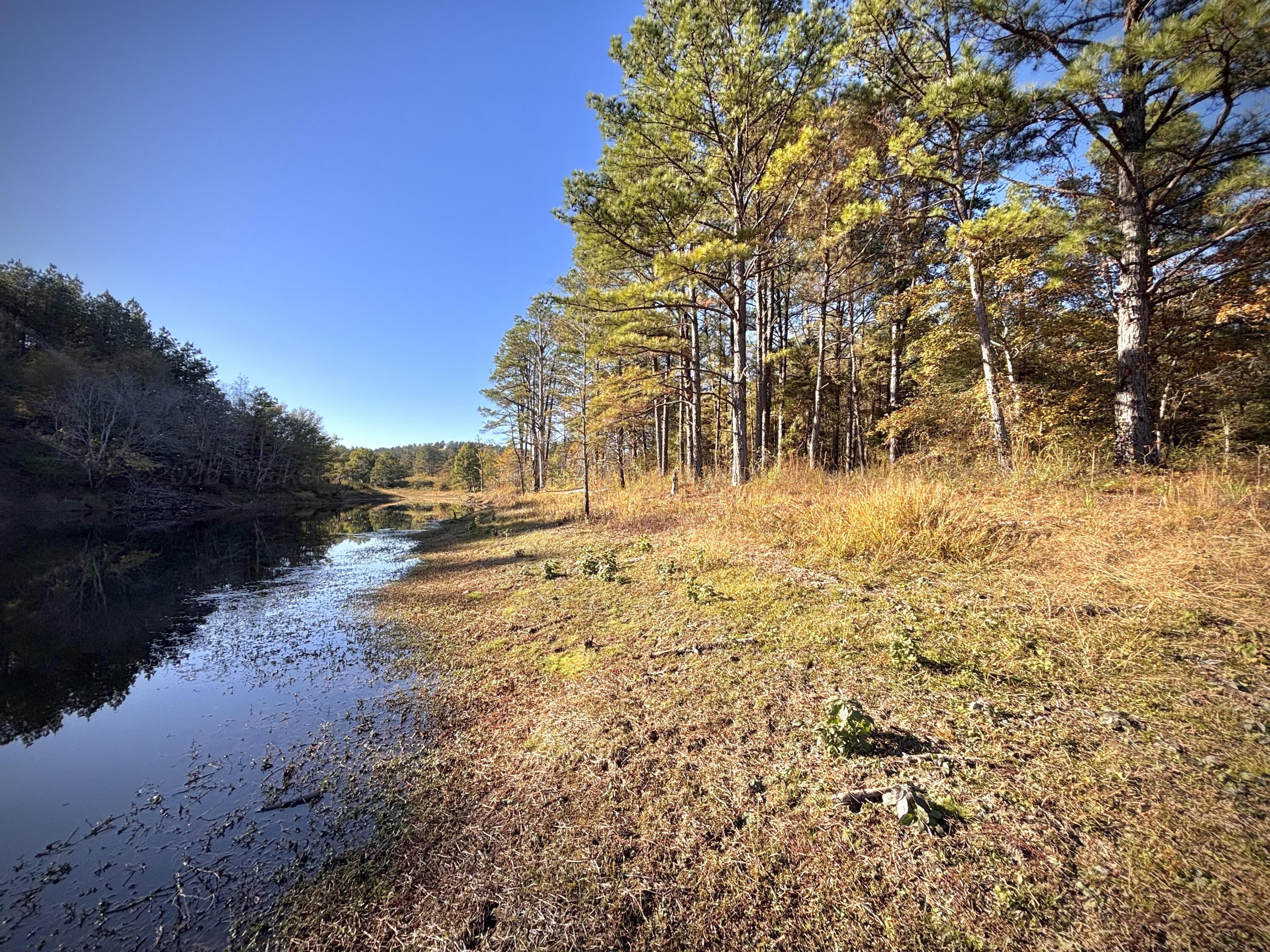 0 Homestead Road Carbon Hill, AL 35549 - Photo 32 of 35 IMG_8283