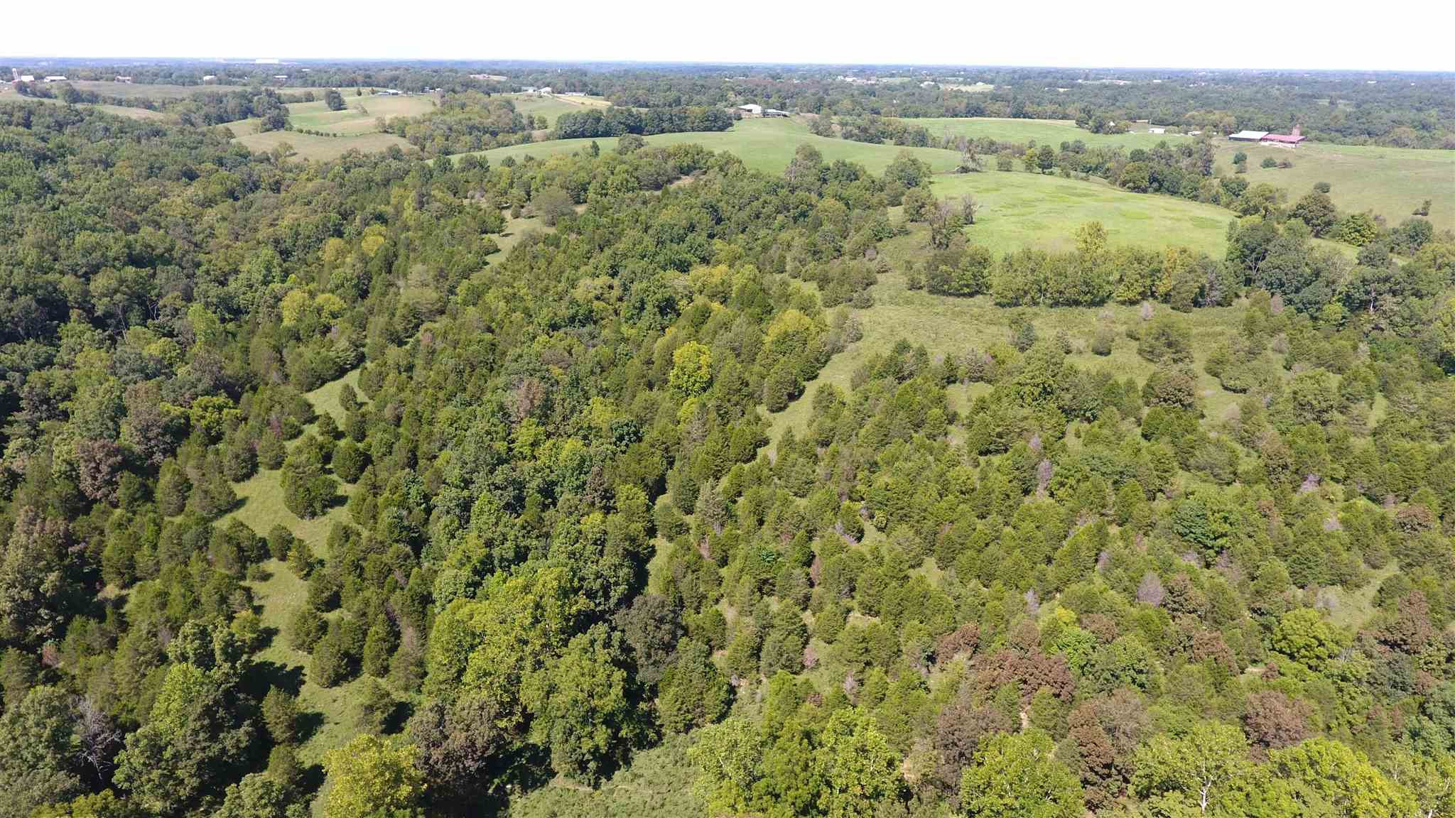 59.02 Acres Stewart Ridge Road Sparta, KY 41086 - Photo 10 of 30