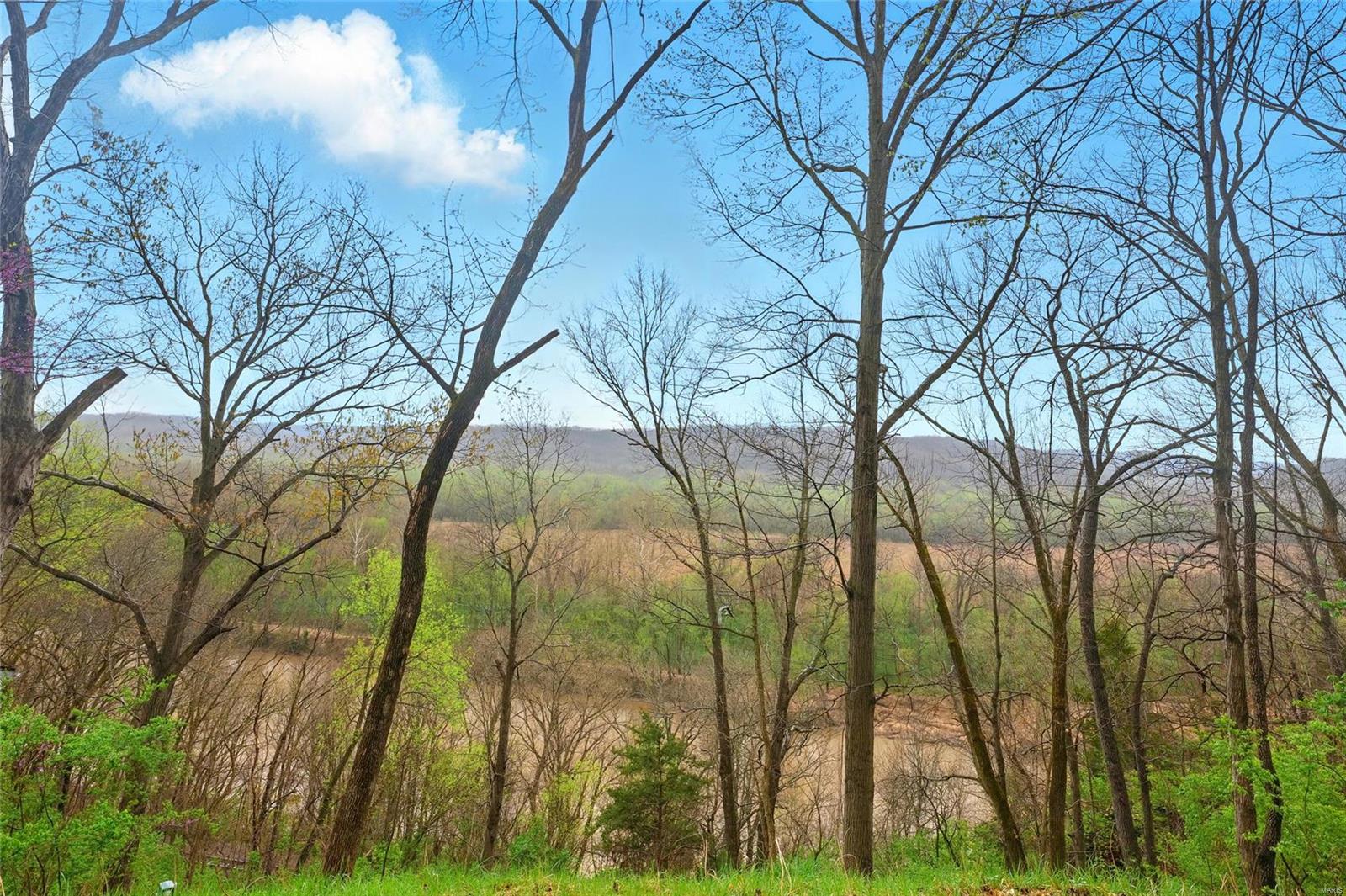 674 Meramec Drive Ballwin, MO 63021 - Photo 3 of 21