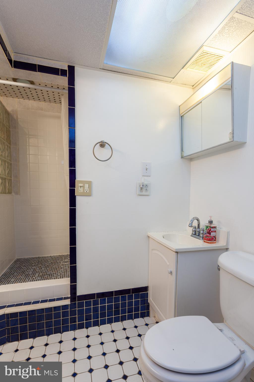 528 Conowingo Road Conowingo, MD 21918 - Photo 21 of 47 Lower level bath with separate tub and shower