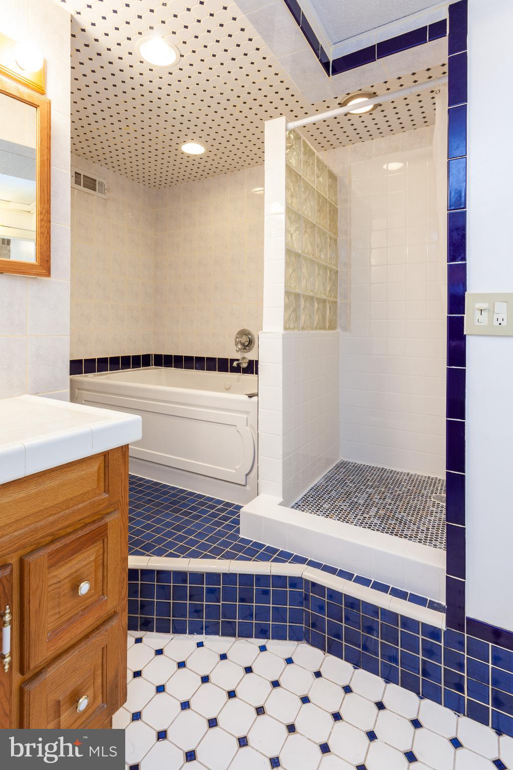 528 Conowingo Road Conowingo, MD 21918 - Photo 22 of 47 Lower level bath with separate tub and shower