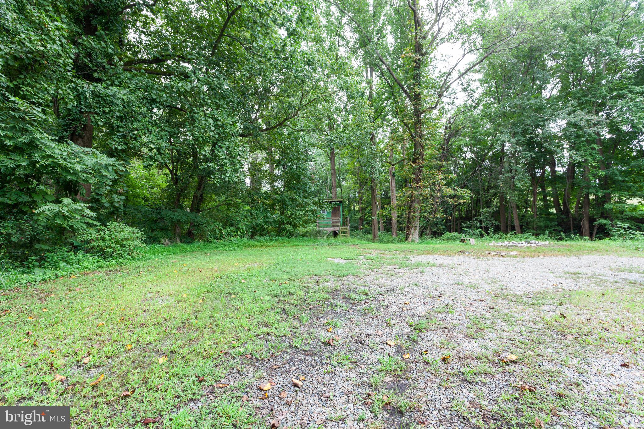 528 Conowingo Road Conowingo, MD 21918 - Photo 47 of 47 Gravel parking area great for storage