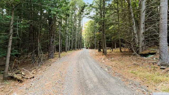 a view of outdoor space with trees