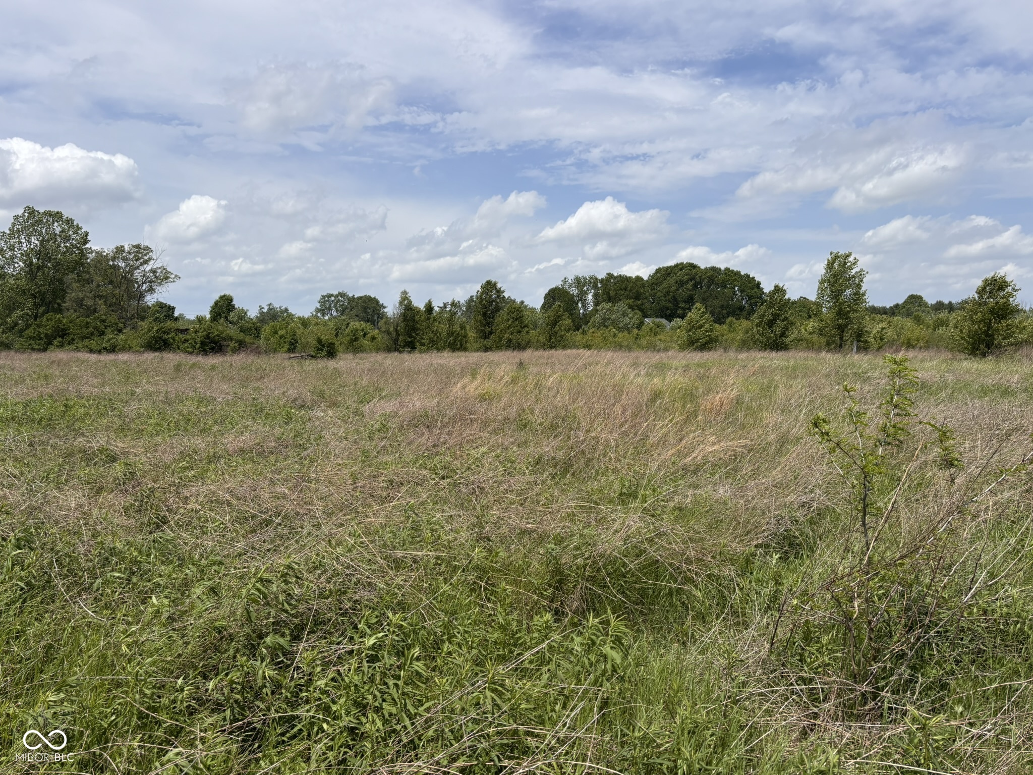 7145 Mann Road Indianapolis, IN 46221 - Photo 43 of 78