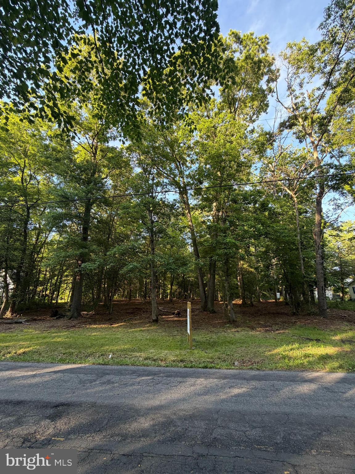 0 Mahan Corner Road Marydel, DE 19964 - Photo 3 of 7 a view of a yard with a trees