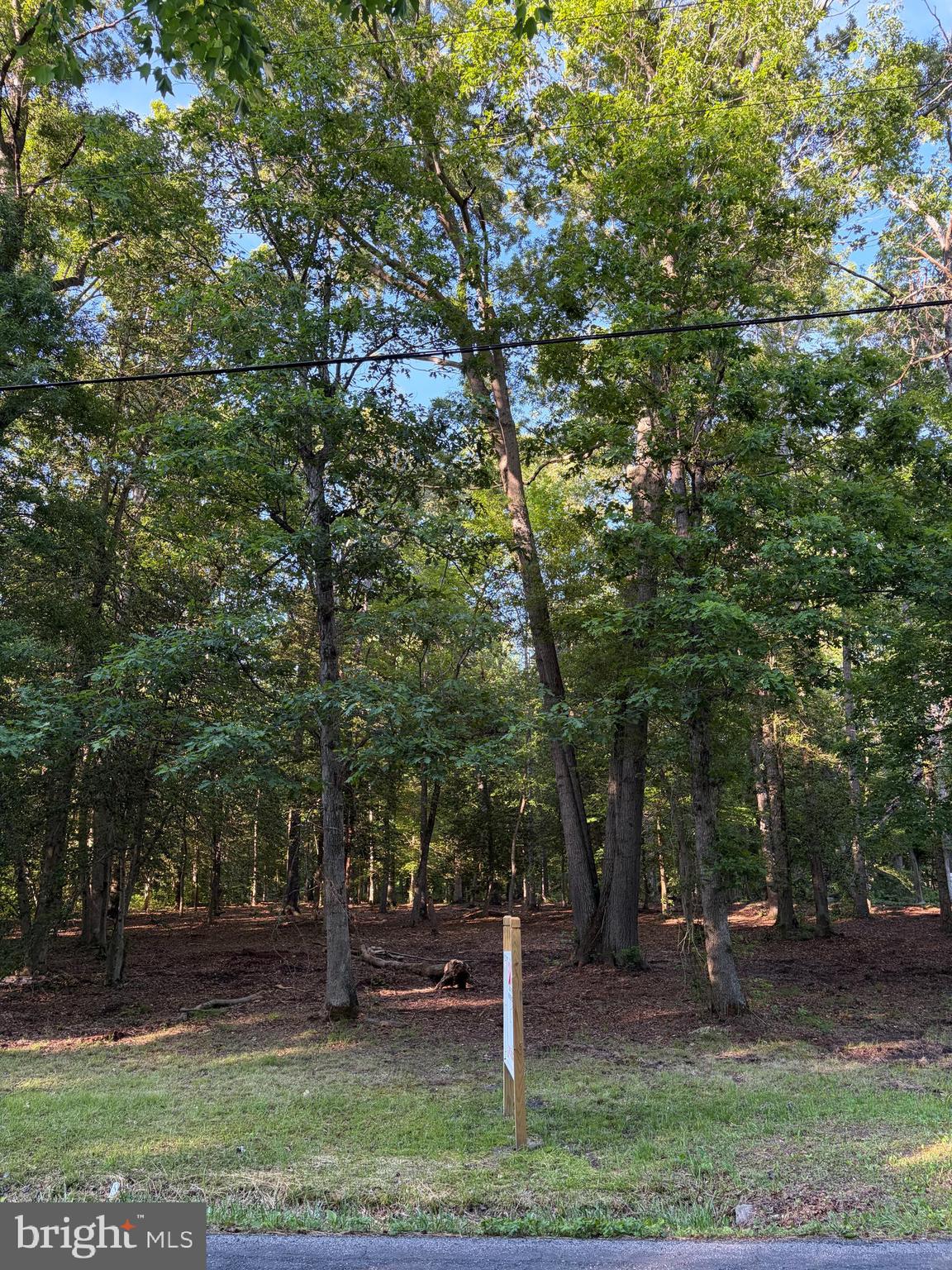 0 Mahan Corner Road Marydel, DE 19964 - Photo 4 of 7