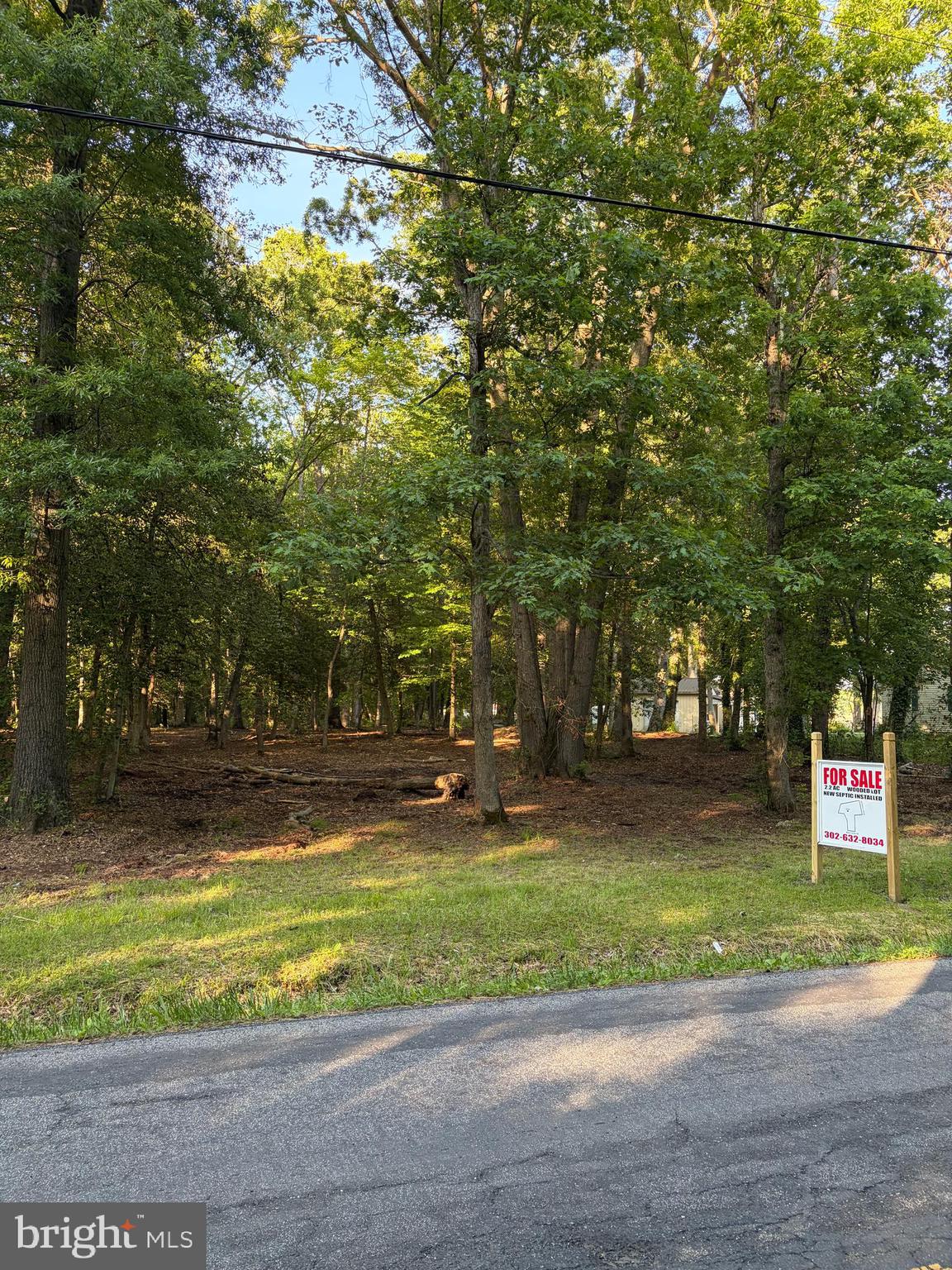 0 Mahan Corner Road Marydel, DE 19964 - Photo 6 of 7 a view of a volley ball court