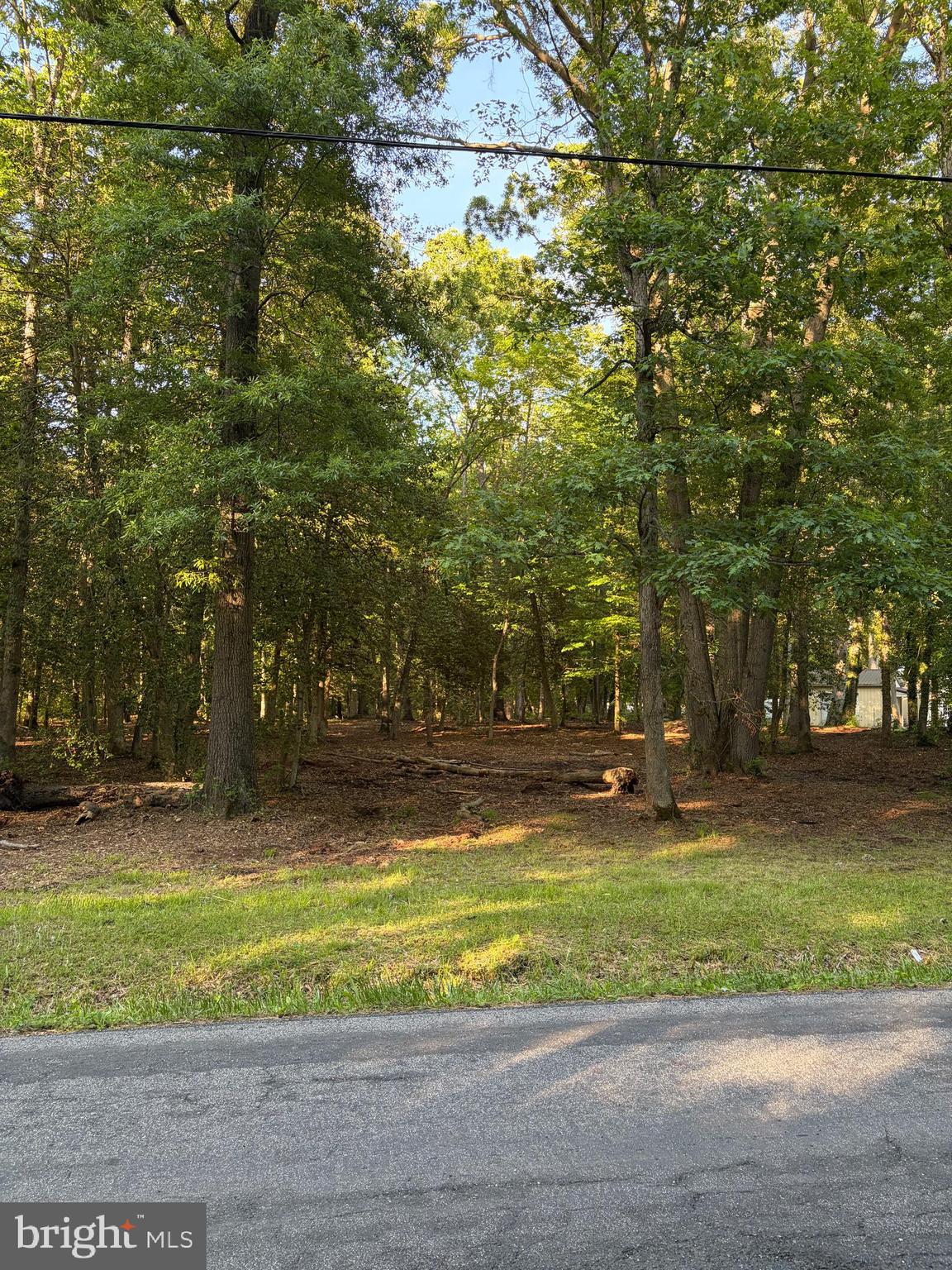 0 Mahan Corner Road Marydel, DE 19964 - Photo 7 of 7 a view of a yard with a tree