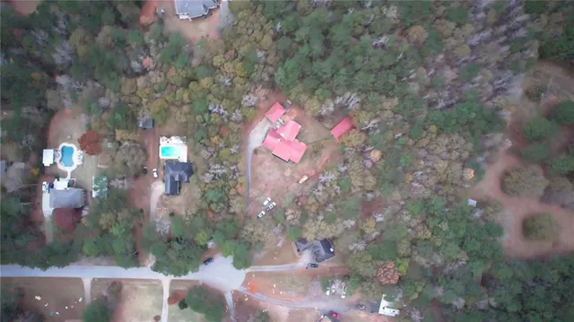 a view of a forest with a yard