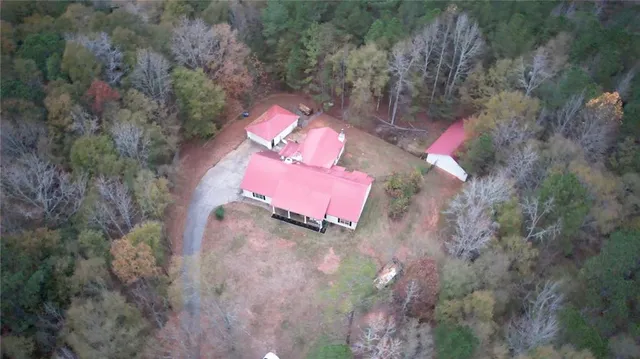 a view of a forest with a yard
