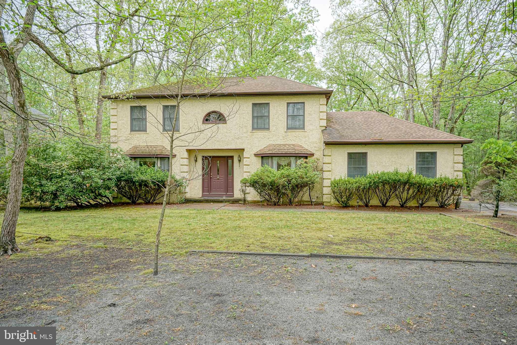 a view of a yard in front of a house with plants and large tree