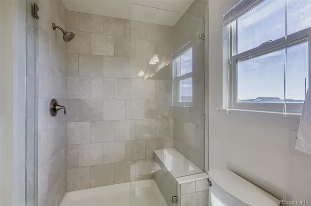 a bathroom with a shower and toilet