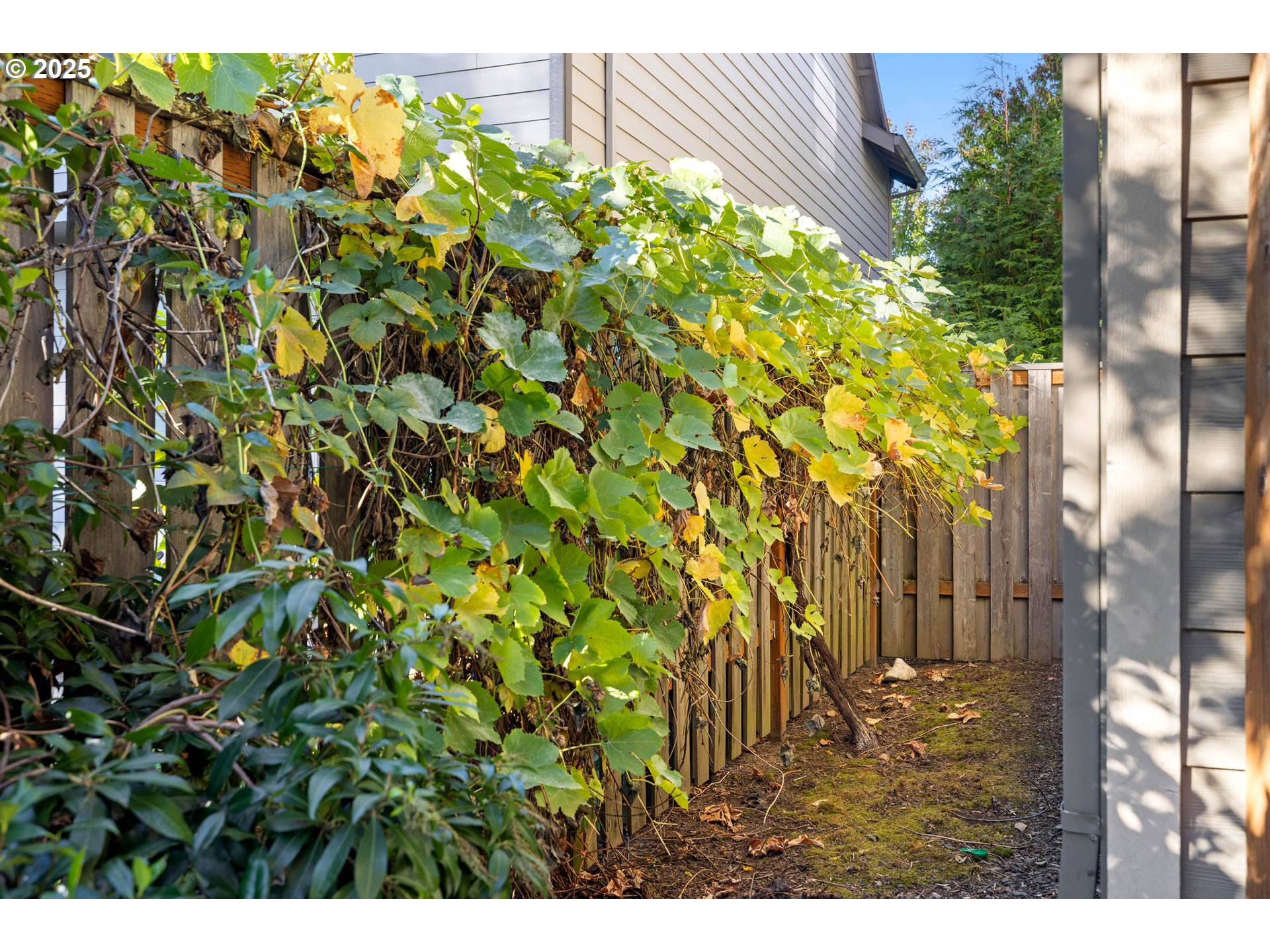 11464 Southwest 96th Avenue Portland, OR 97223 - Photo 34 of 43