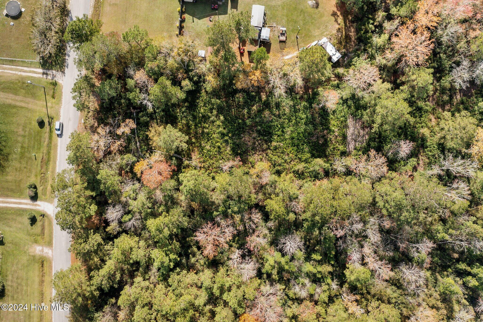 239 Old Timber Road Jacksonville, NC 28540 - Photo 7 of 15 7-web-or-mls-DJI_0865