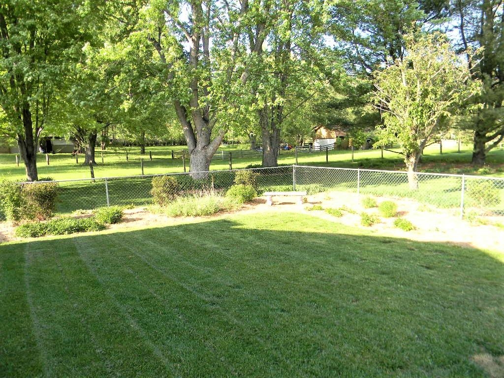 Gallery Image 7