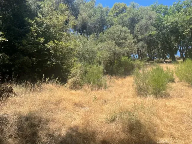 a view of a lake view