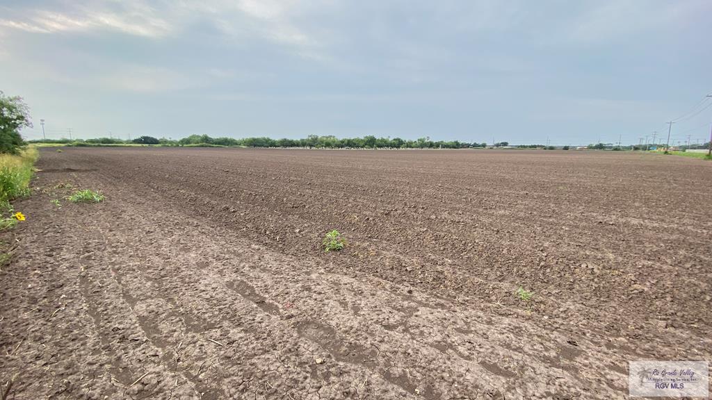 0 Rangerville Road San Benito, TX 78586 - Photo 5 of 15 Gallery Image 5