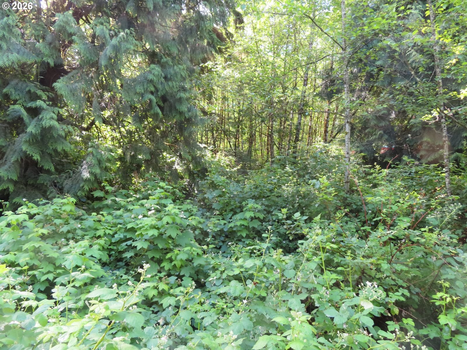 Sylvan Way Longview, WA 98632 - Photo 13 of 16