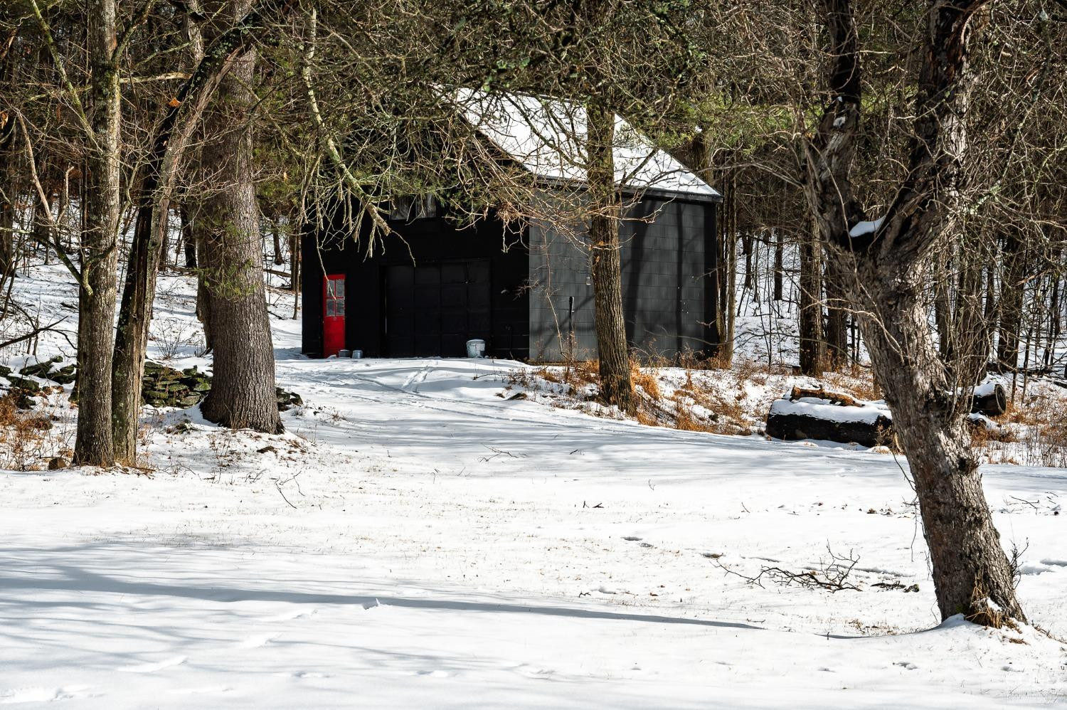 203 Stone Jug Road Craryville, NY 12521 - Photo 24 of 29 a view of a house with snow on the tree