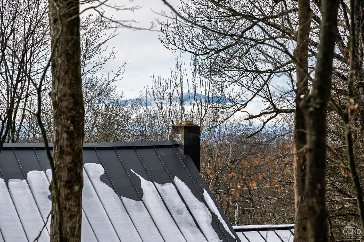 203 Stone Jug Road Craryville, NY 12521 - Photo 27 of 29 a view of outdoor space and yard