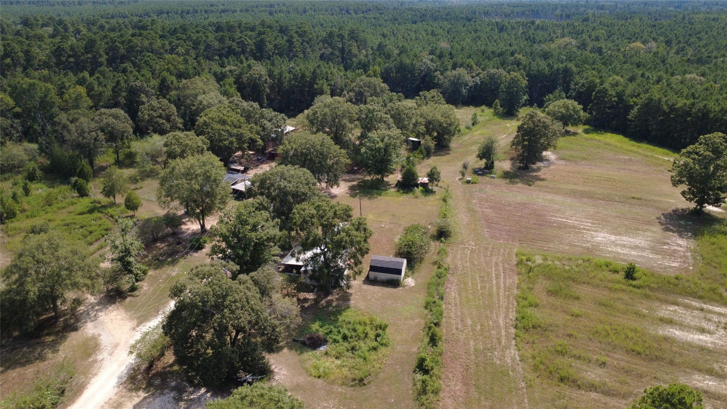 281 McGehee Road Willis, TX 77378 - Photo 12 of 20 Gallery Image 12