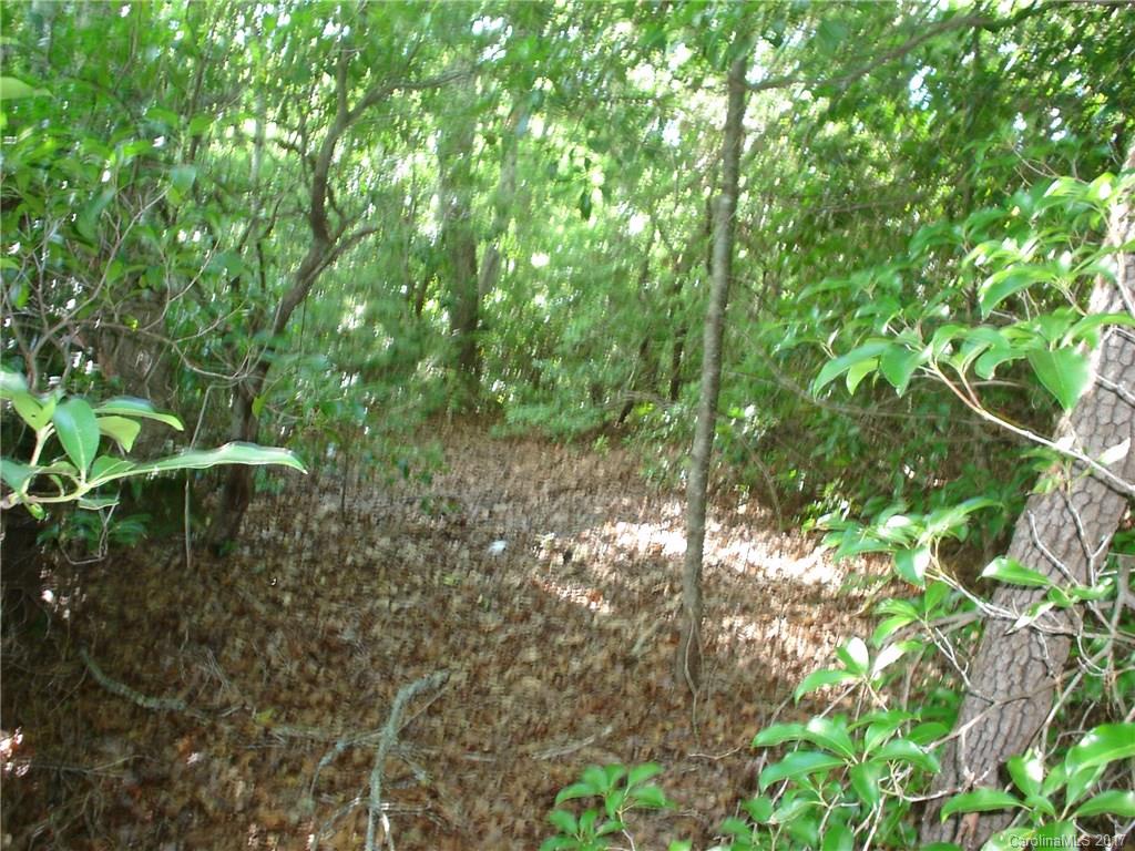 58 Stillhouse Road Brevard, NC 28712 - Photo 8 of 19 Gallery Image 8