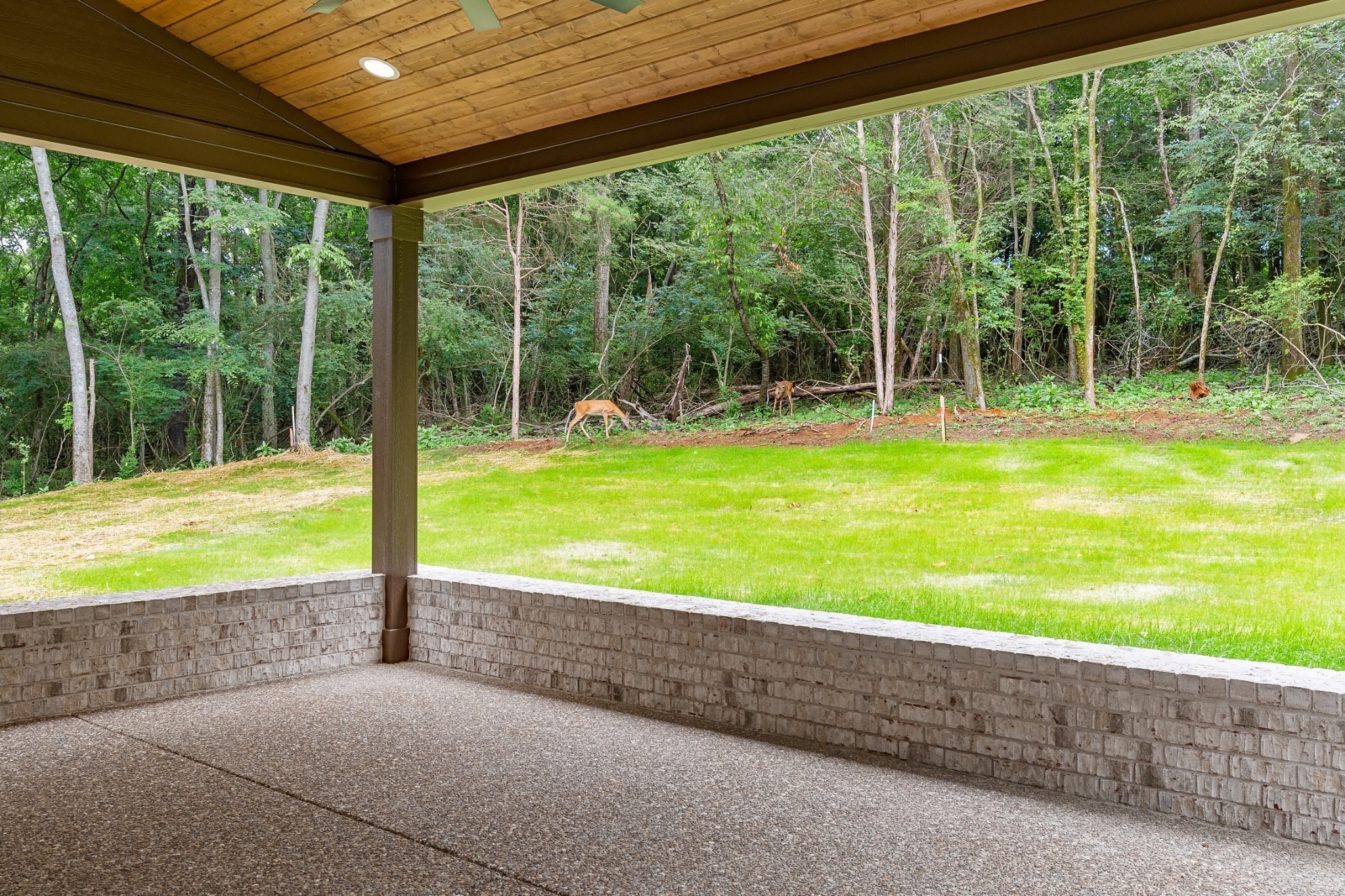 333 Burris Road Mount Juliet, TN 37122 - Photo 67 of 68 Gallery Image 67