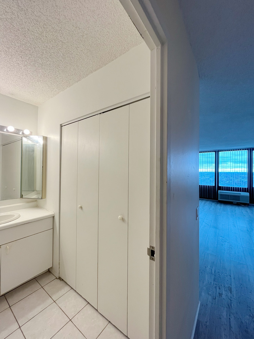 5320 North Sheridan Road, Unit 2110 Chicago, IL 60640 - Photo 2 of 16 a bathroom with a sink a mirror and a shower