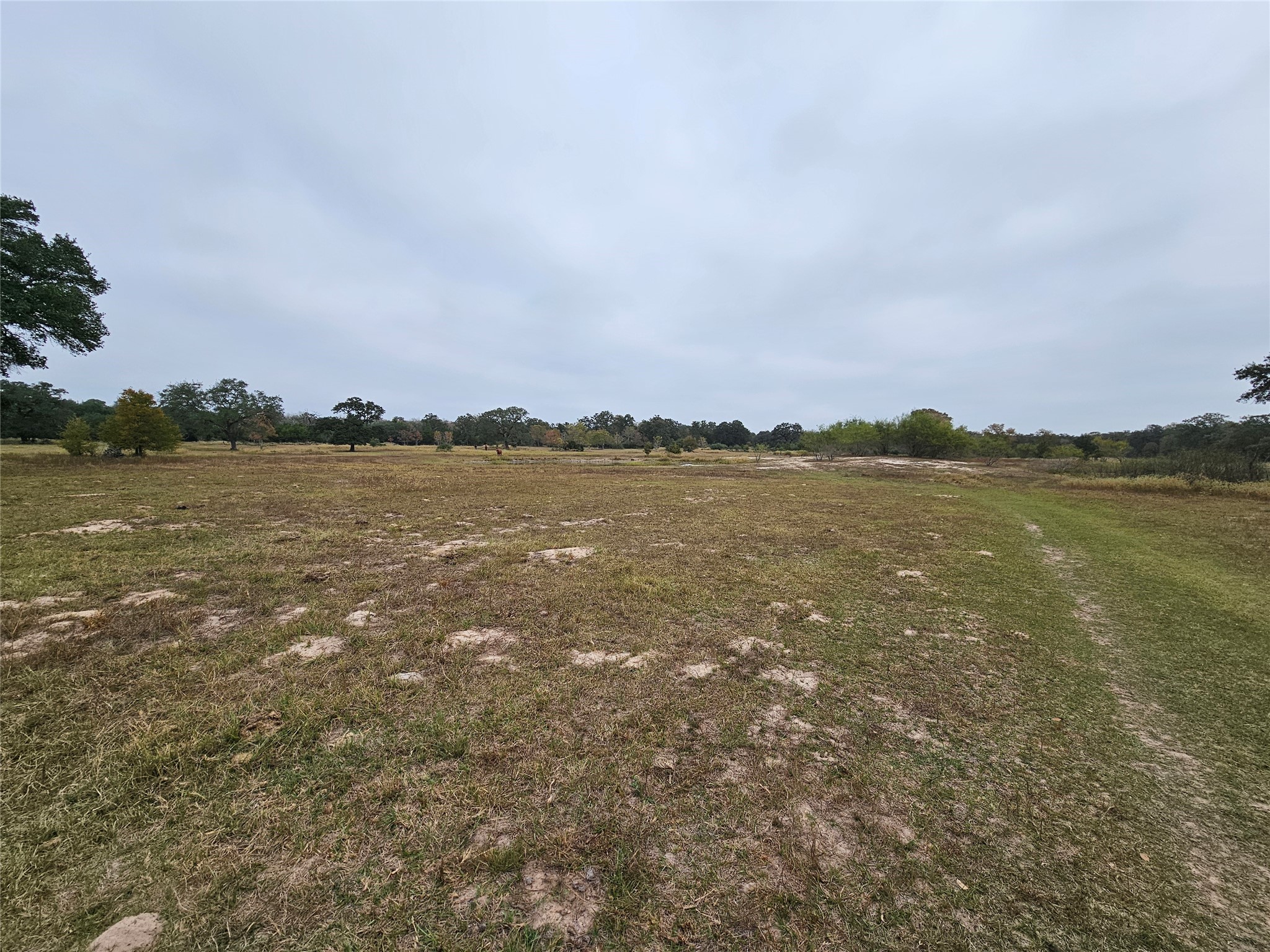 0 Schultz Road Columbus, TX 78934 - Photo 2 of 9 0 schultz