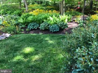 a view of a garden with a lake