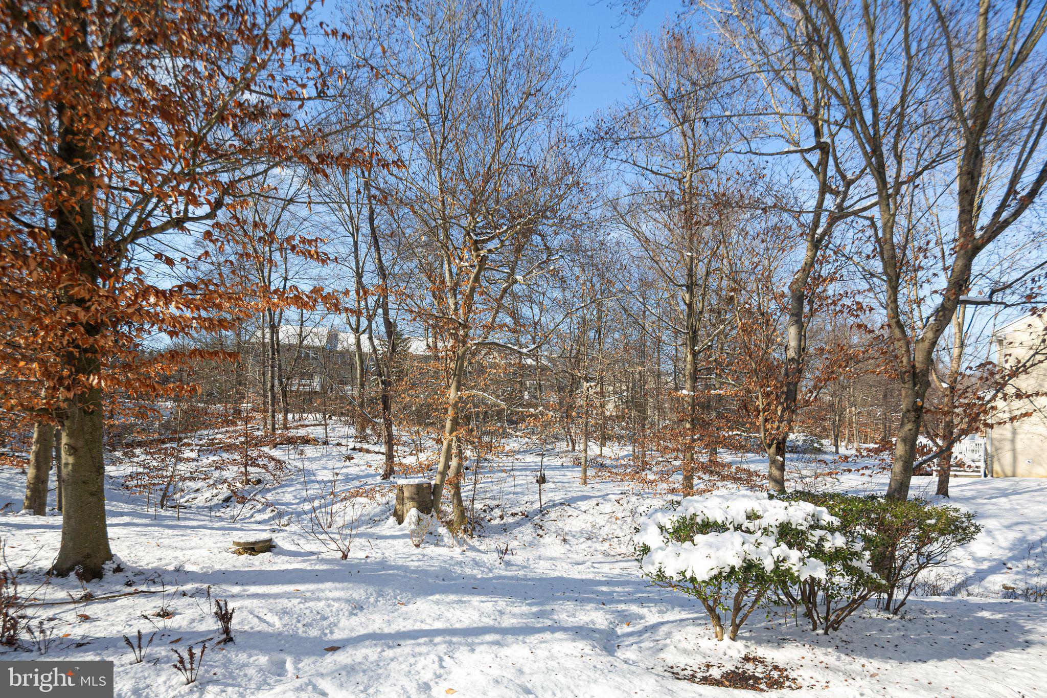 99 Longview Lane Newtown Square, PA 19073 - Photo 48 of 50 a view of covered with snow