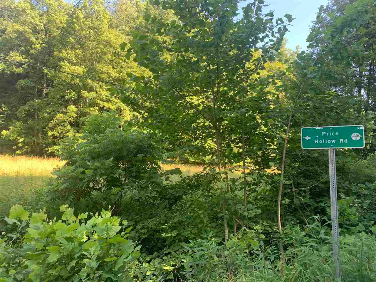 0 Nine Mile Road Branchland, WV 25506 - Photo 3 of 12 Gallery Image 3