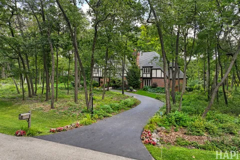 a view of a garden with plants and large trees